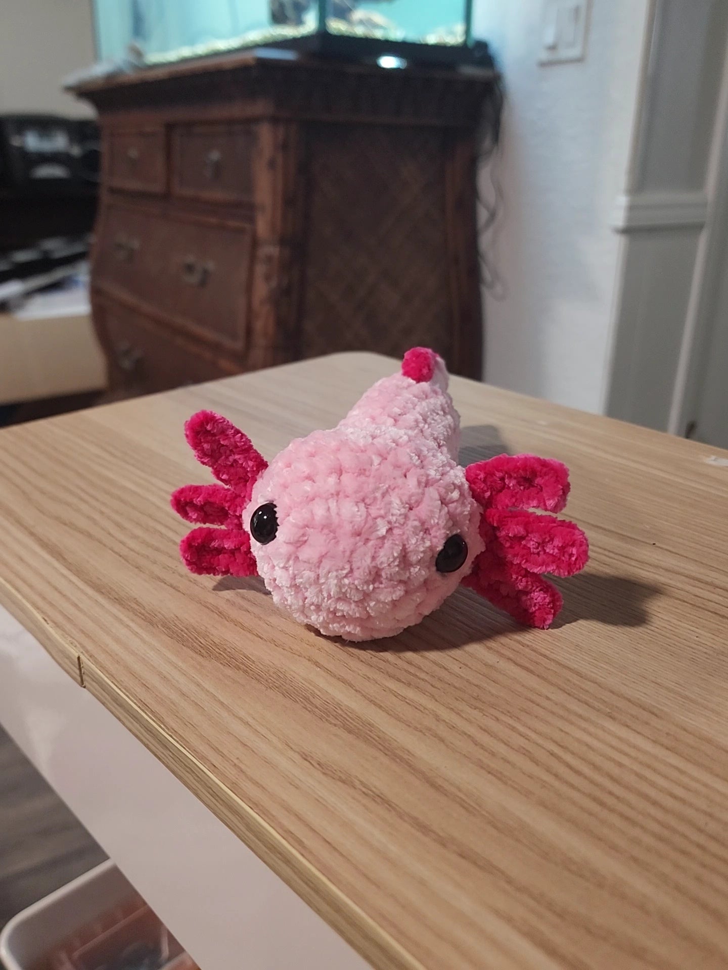 Baby Axolotl