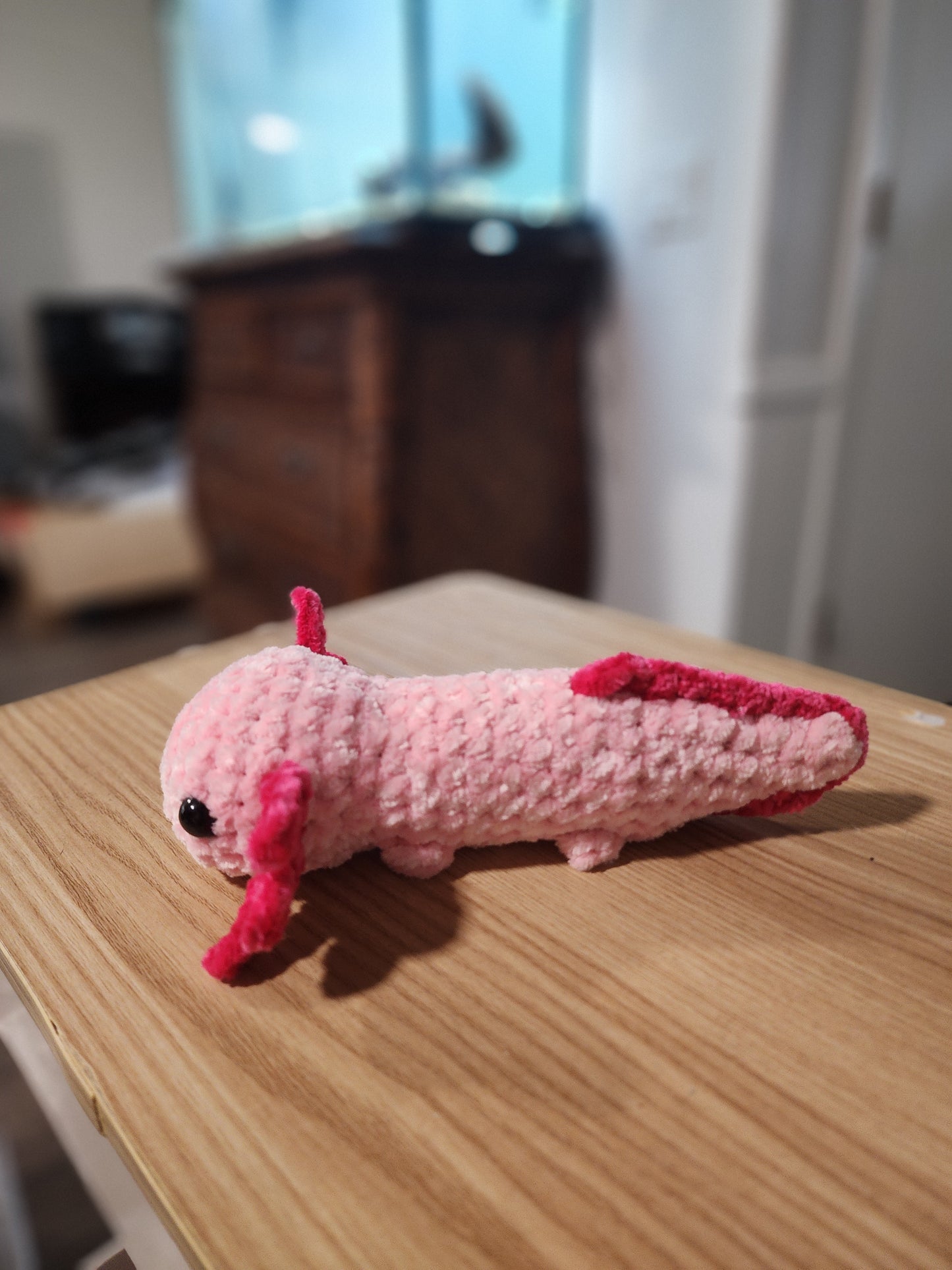 Baby Axolotl