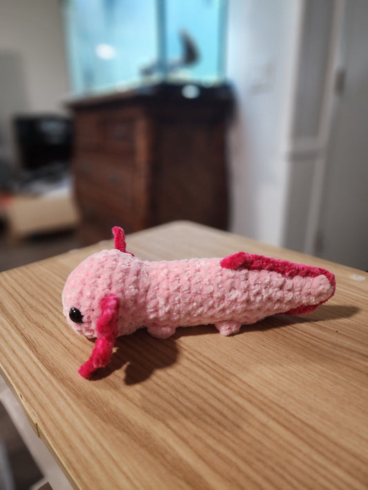Baby Axolotl