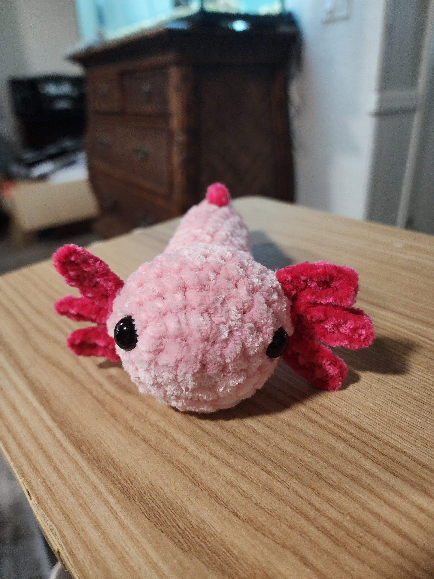 Baby Axolotl